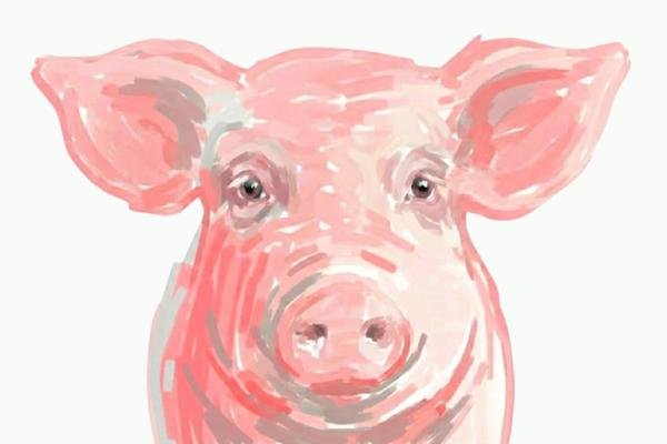European pork market seeks a floor as supply tightens unevenly