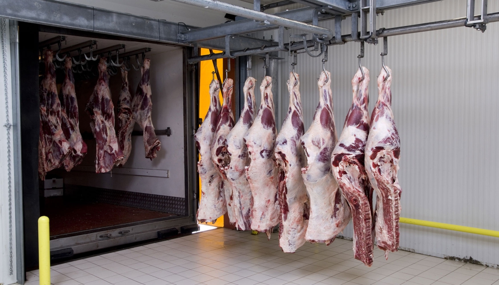 FAO-Fleischpreisindex steigt im März um 1 %: Schweine- und Rindfleisch überwiegen Rückgänge bei Geflügel und Lamm