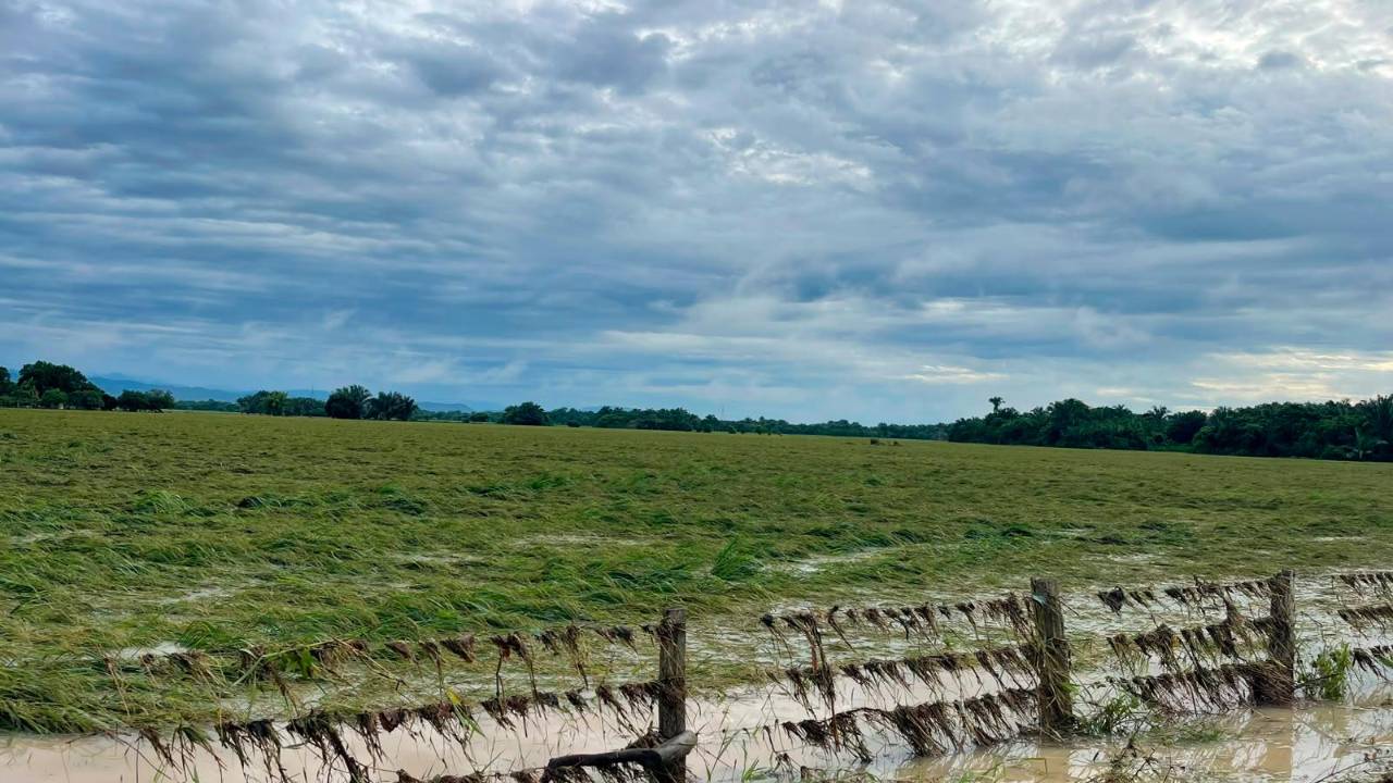 Flooding threatens rice harvests and rural transport in Colombia’s Casanare and Arauca