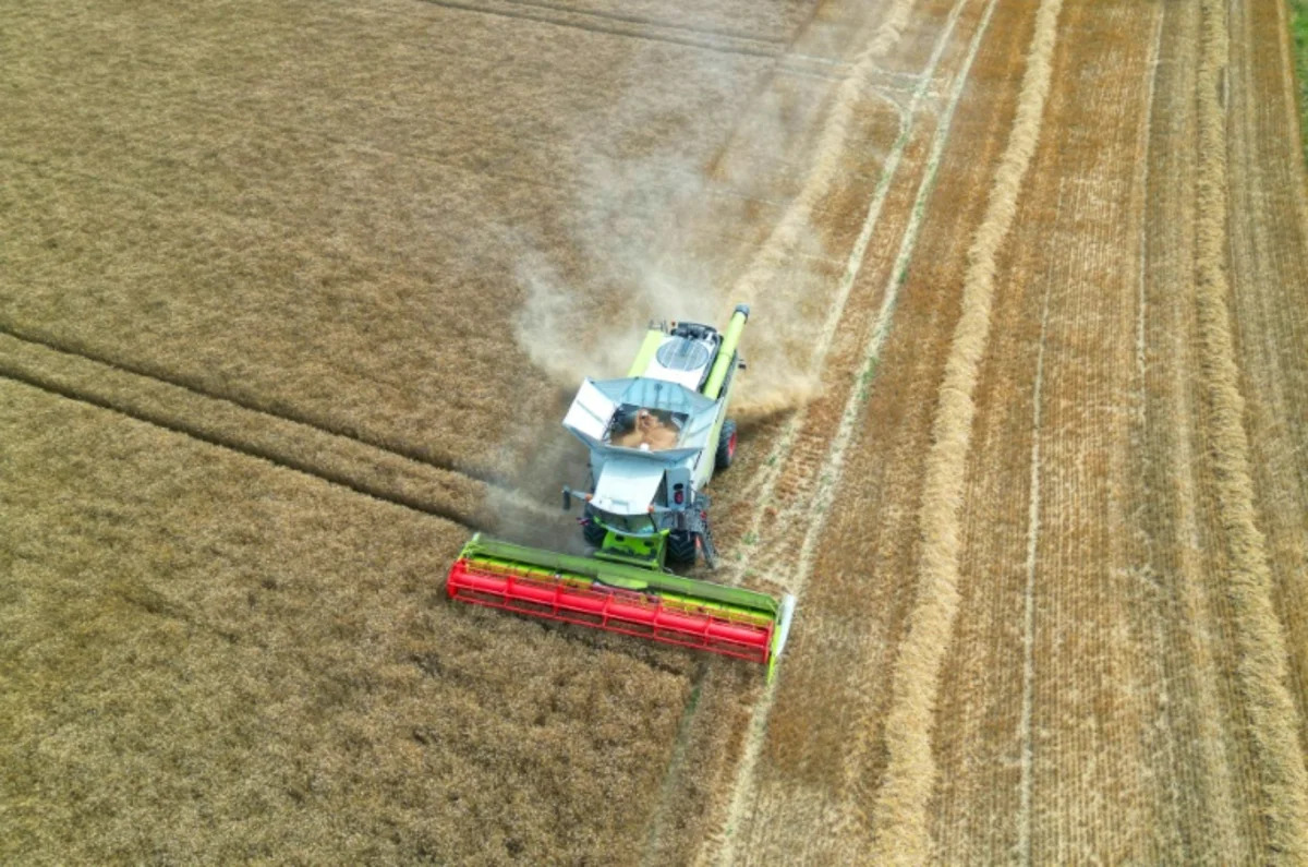 France’s 2026 soft wheat harvest estimated at 30.8 million tonnes, below official forecast