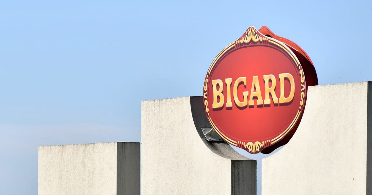 French cattle farmers protest Bigard price cuts as calf exports decline