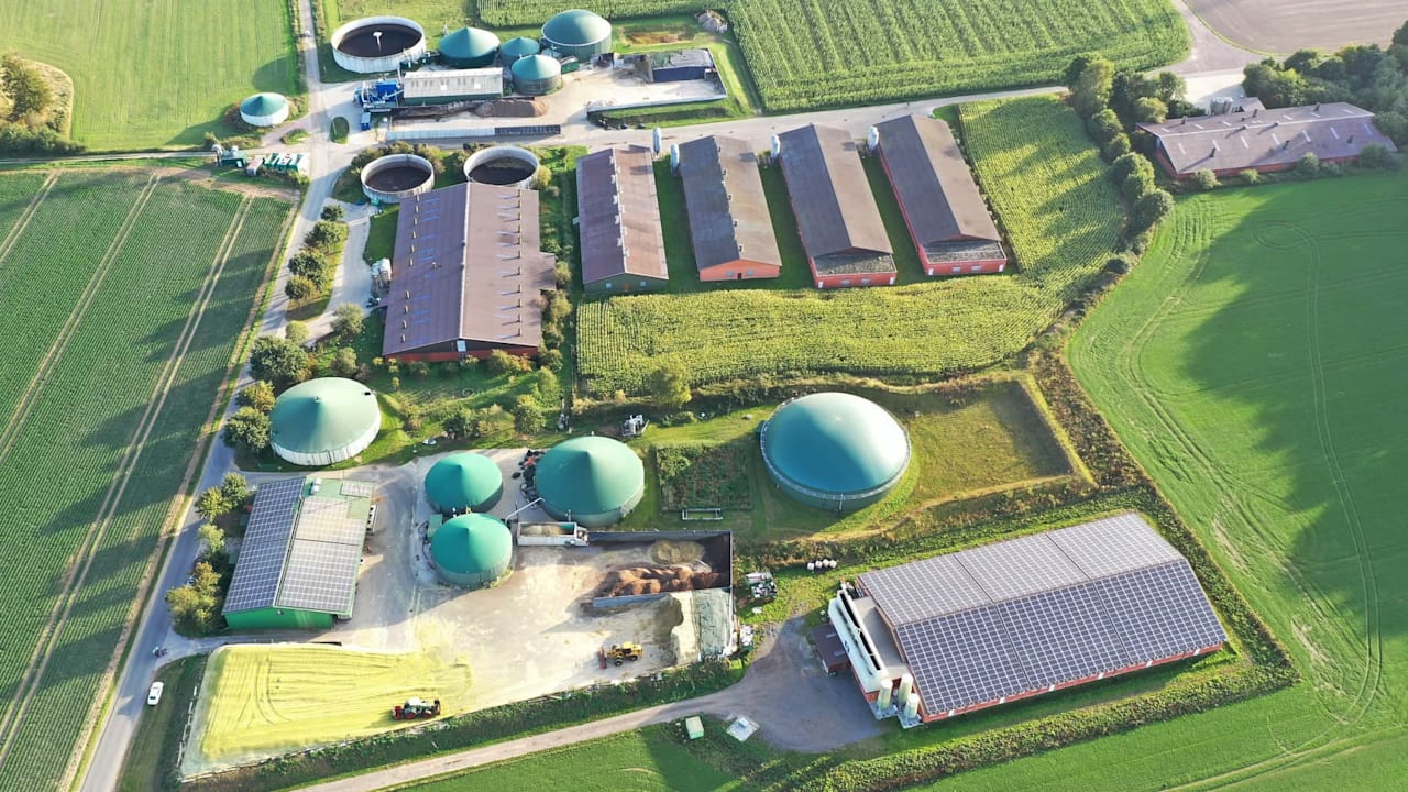 German pig breeder Geestferkel enters insolvency with 23 sites and 188 jobs at risk