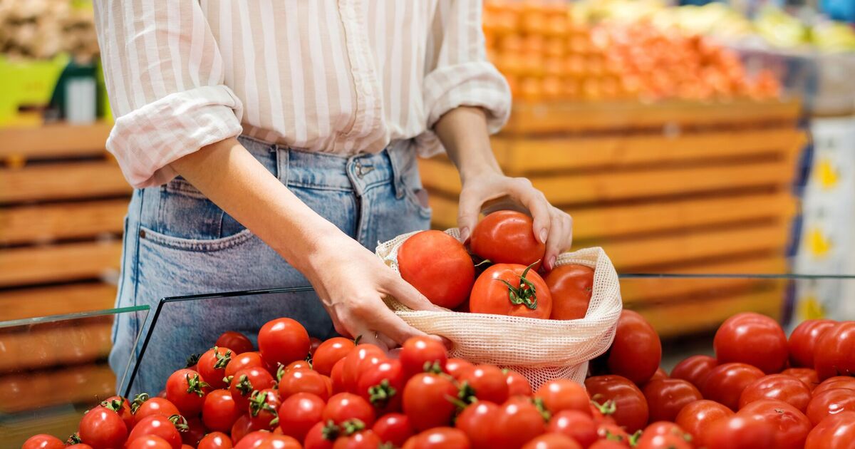 Global processing tomato output to fall below 40 million tons as Ukraine greenhouse prices stay high