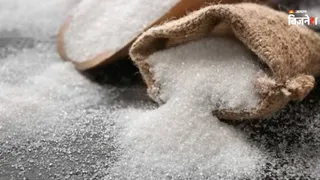 India set to exit global sugar market for two to three years