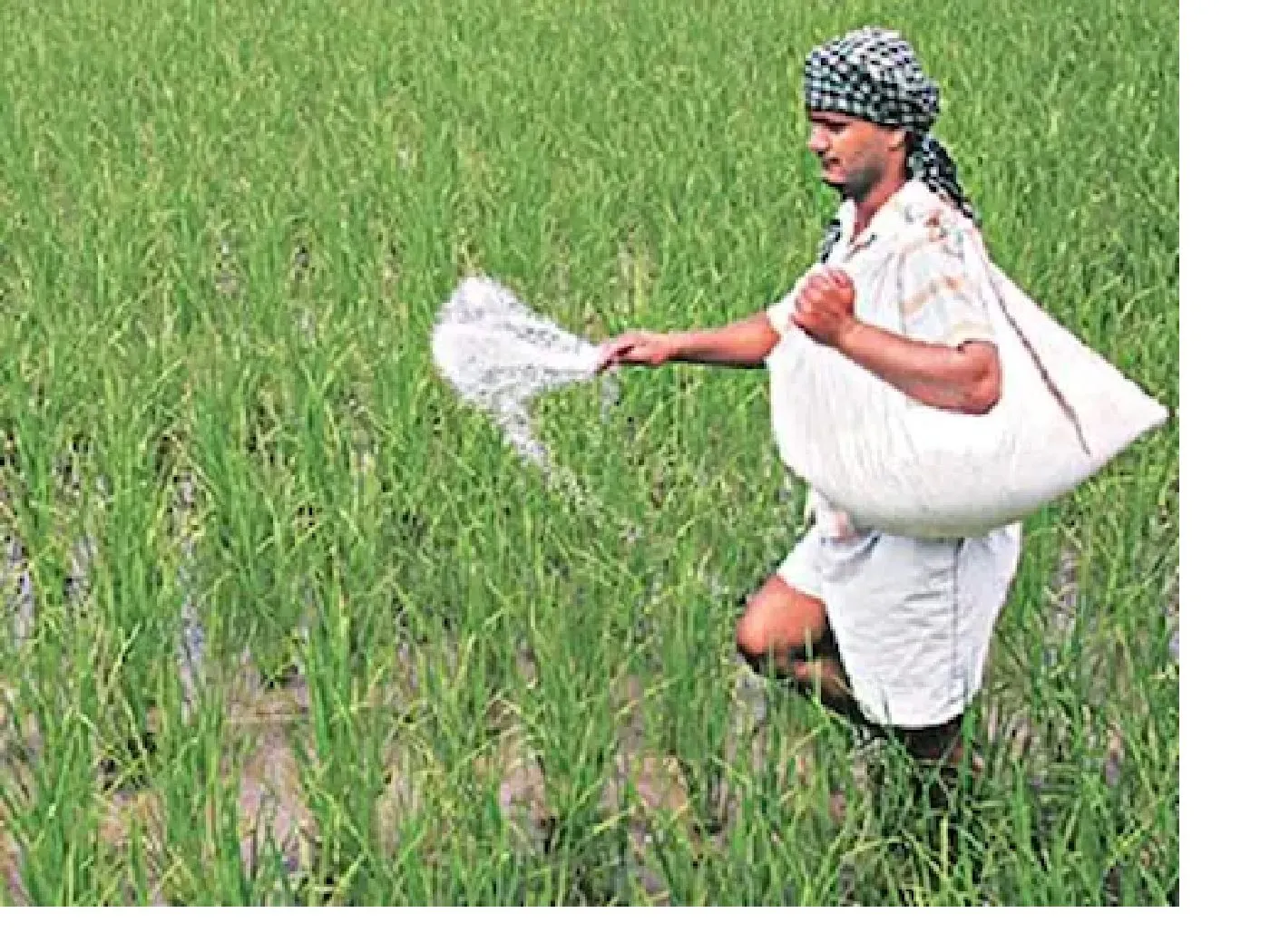 India’s fertilizer exports rise 52% in three years as shipments to Brazil surge