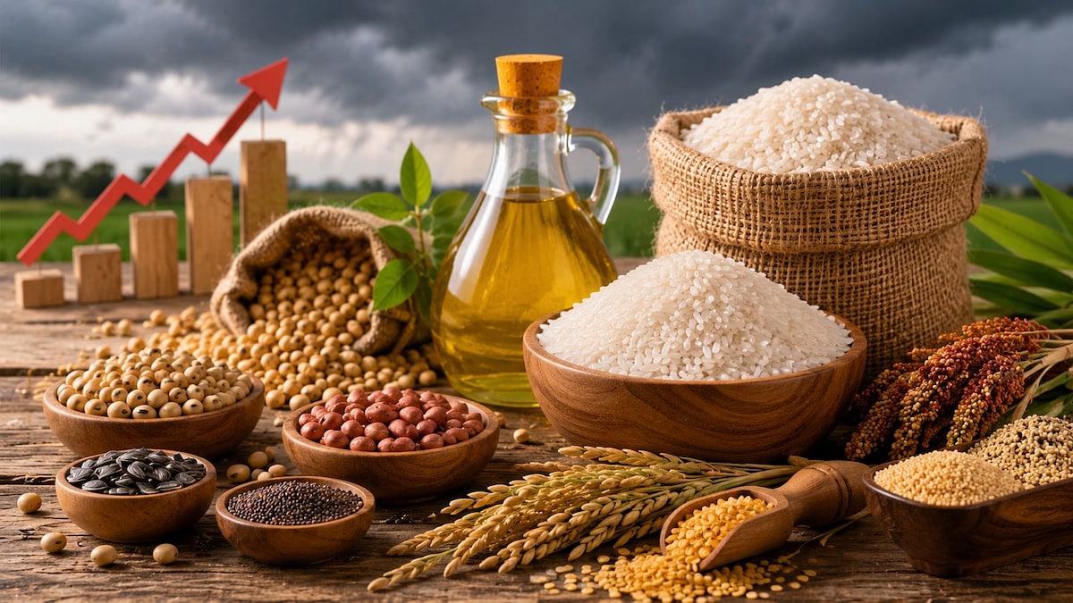India Expected to Sustain Rice Exports Despite Climate Risks: IGC