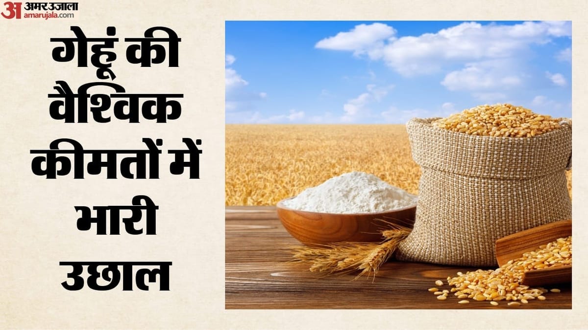 India wheat prices rise 8% in a month as edible oil cost concerns grow