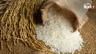 Indian rice export prices rise for third week as planting lags