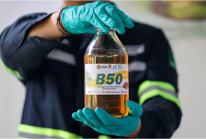 Indonesia rolls out world-first B50 palm biodiesel mandate