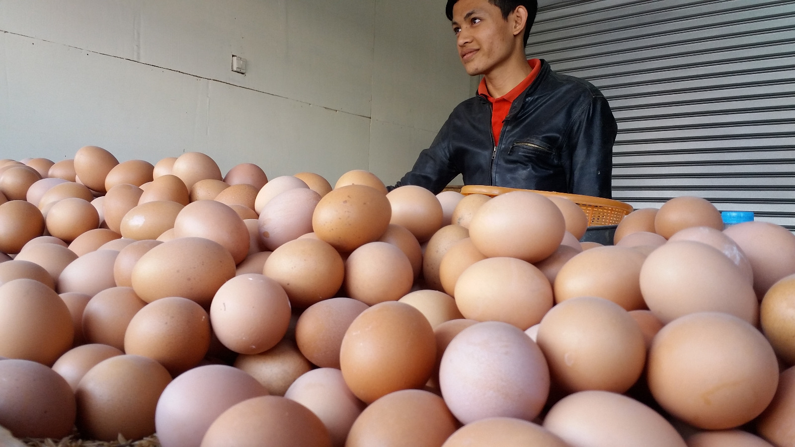 Indonesiens Eier- und Hühnerpreise steigen nach Neustart des Schulverpflegungsprogramms