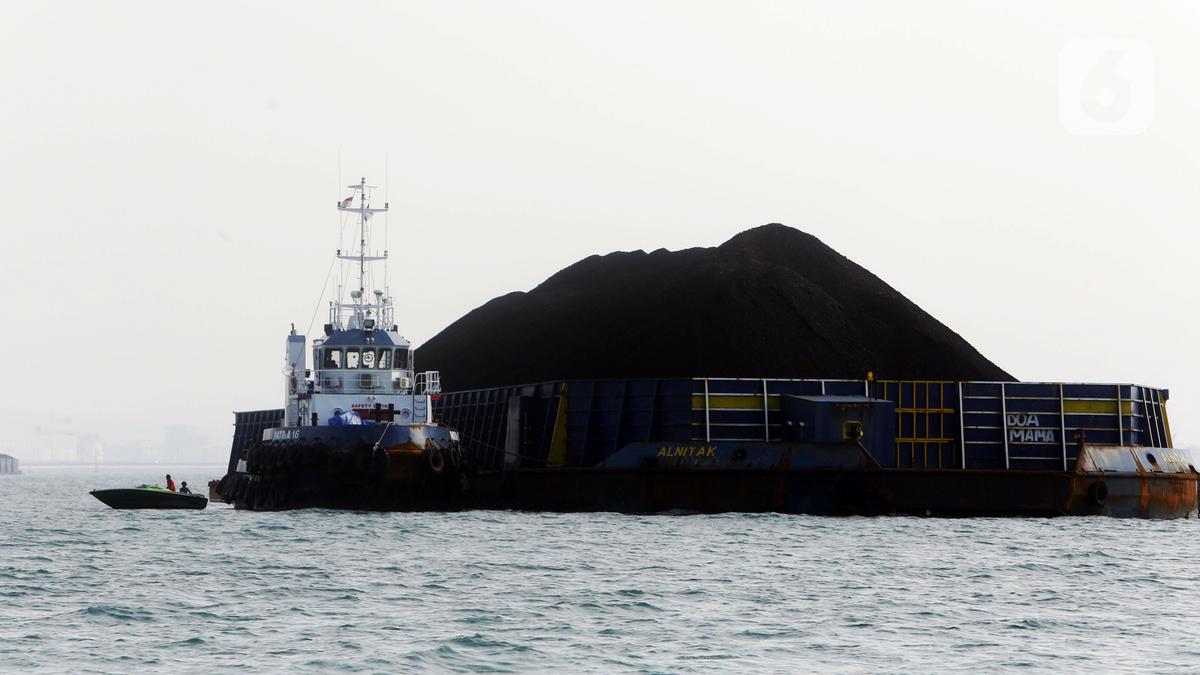 Indonesia raises high-calorie coal benchmark to $131.85/tonne for late July