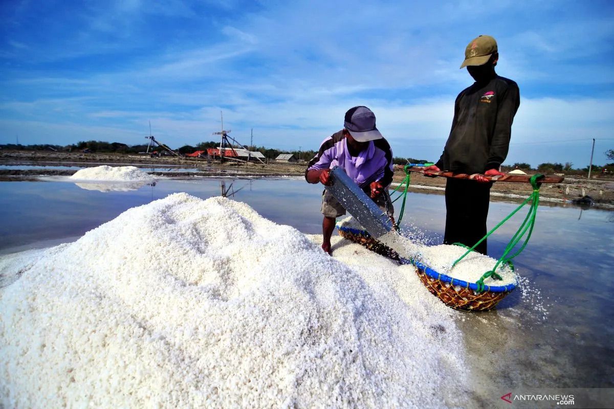 Indonesian lawmakers seek tighter salt imports before 2027 self-sufficiency target