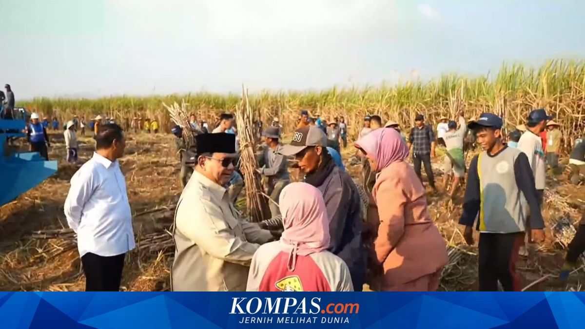 Indonesia says molasses import halt stabilized sugarcane farmer prices