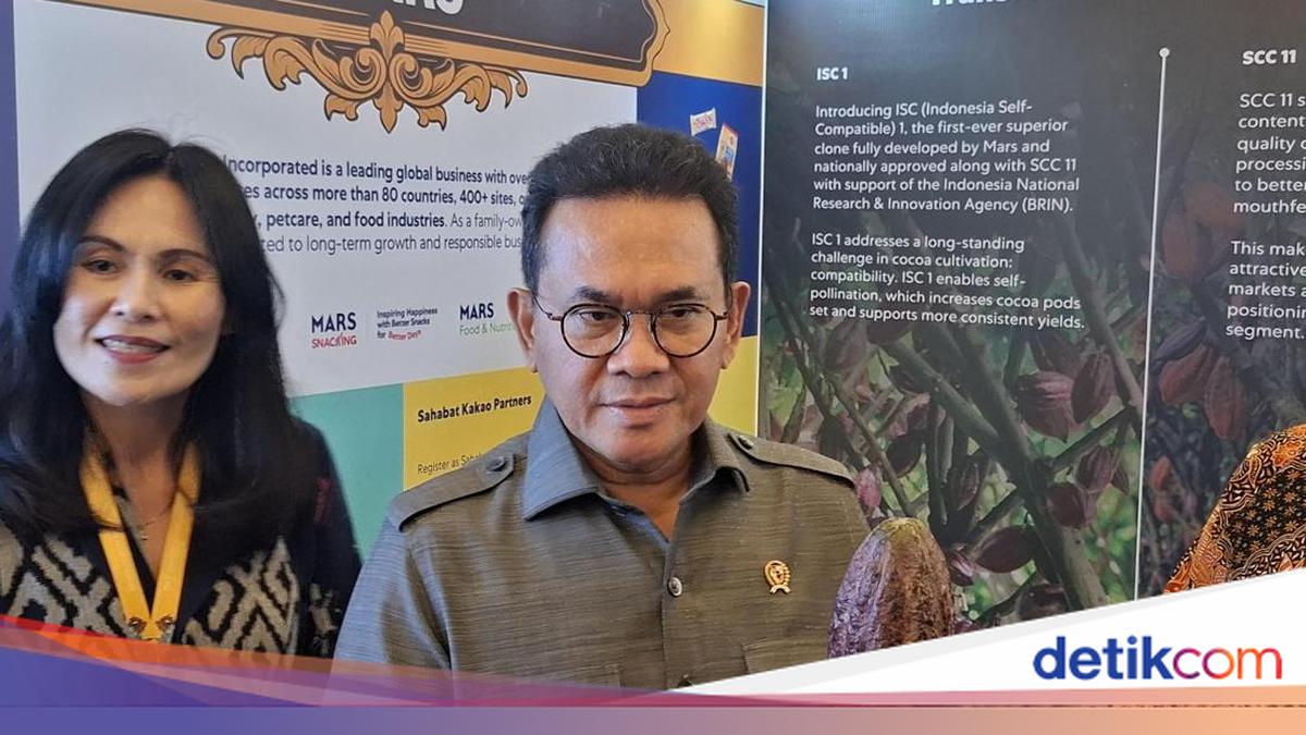 Indonesia Targets Faster Cocoa Export Growth to EU Through IEU-CEPA