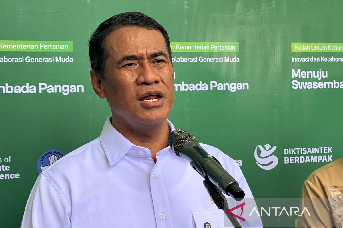 Indonesia targets rice exports as global prices rise and stocks reach 5.3 million tonnes