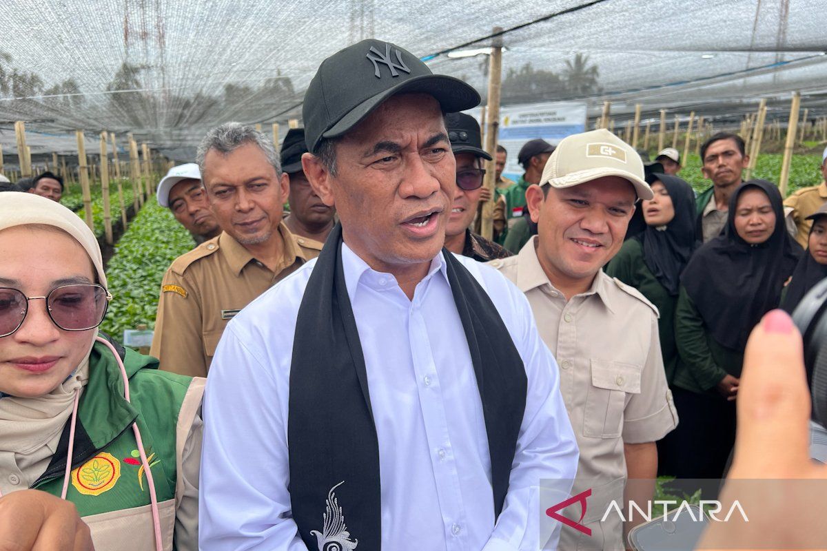 Indonesia targets Rp100 trillion coffee exports with Gayo seedling push in Aceh