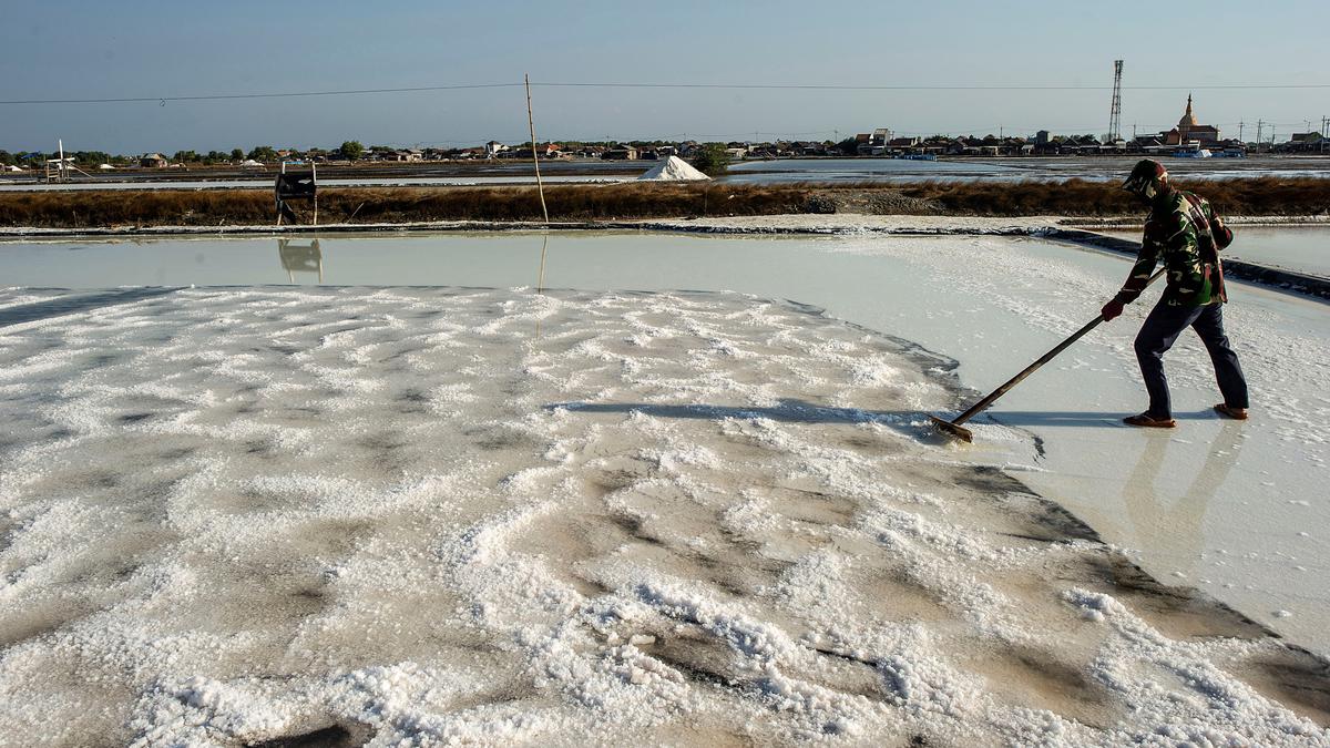 Indonesia weighs local salt purchase mandate as imports rise and prices fall