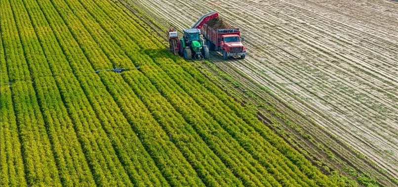 Iran War Pushes Global Food Prices to Three-Year High, FAO Warns of More Gains