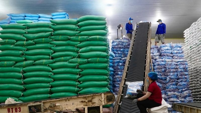 Iraq's rice imports from Vietnam surge 132-fold as Thai supply falters