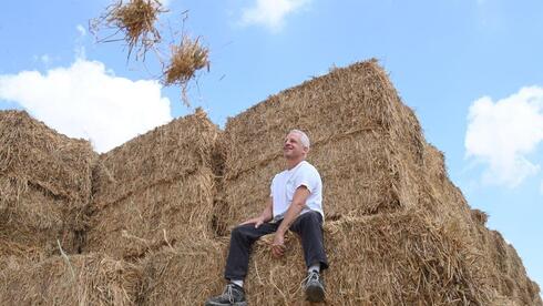 Israel Heads for Best Wheat Harvest in a Decade