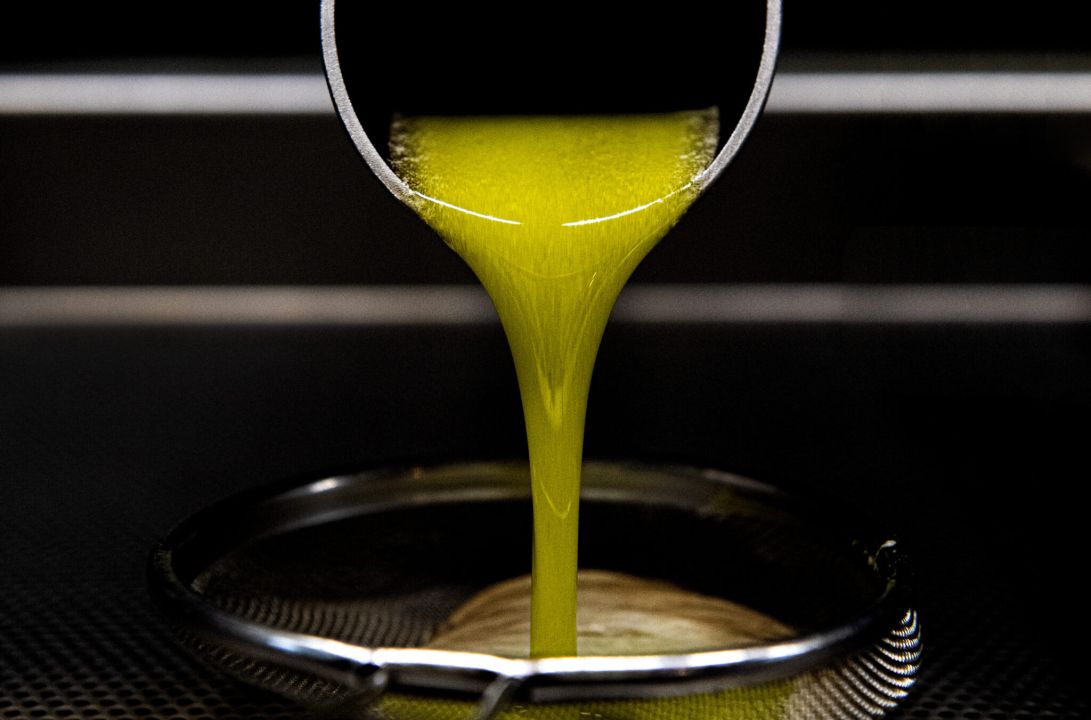 Italy bars olive oil blends from being marketed as extra virgin