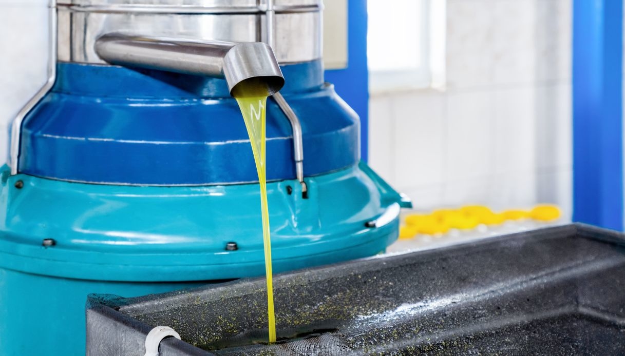 Italy’s olive oil stocks reach 258,480 tonnes in June 2026
