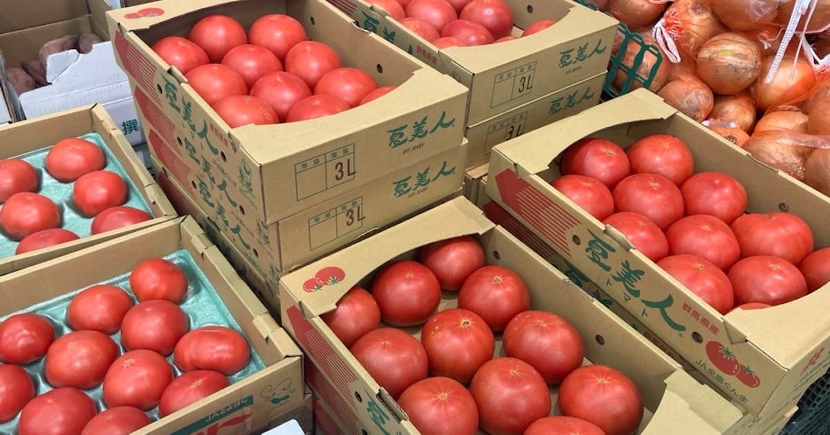 Japan’s cucumber, tomato and eggplant prices rise as difficult weather restricts supply