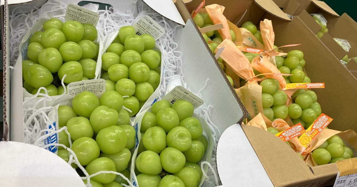 Japan tightens seed law after overseas leakage of premium fruit varieties