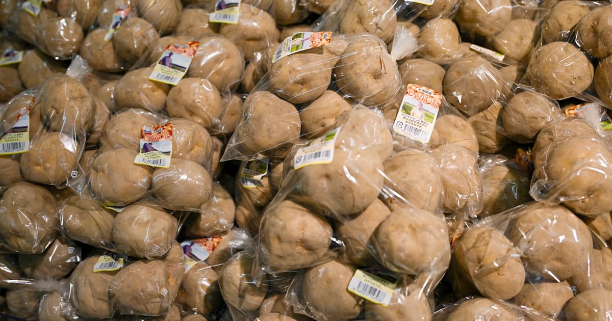 Japan's LDP floats lifting ban on fresh US potato imports as tariff bargaining chip
