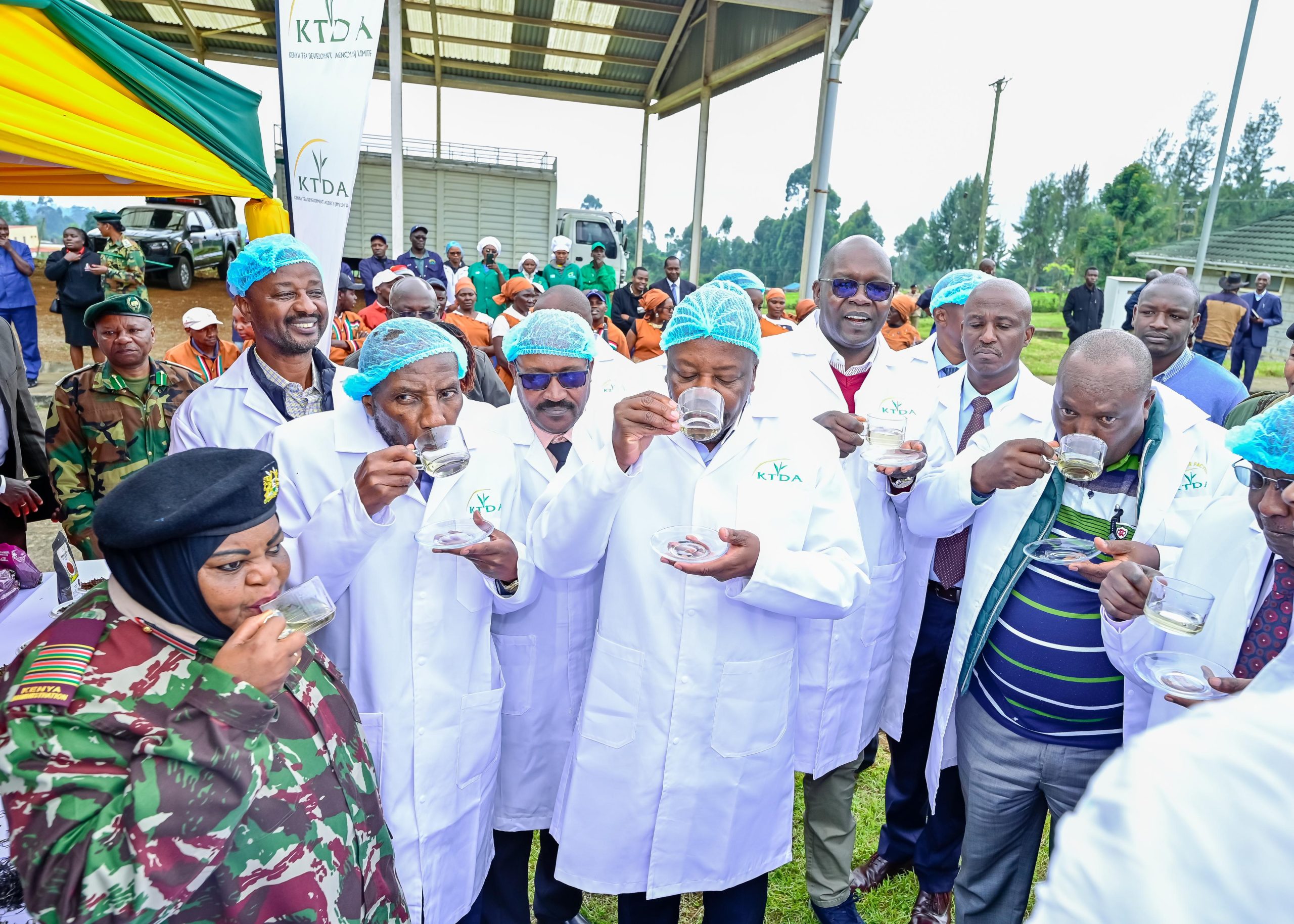 Kenya backs specialty tea expansion with Ksh 360 million project and factory grant