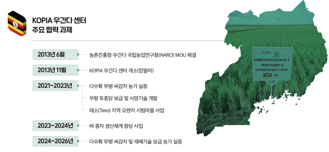 Koreanisches Agrarprogramm steigert Reis- und Orangeneinkommen in Uganda