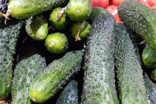 Kyrgyzstan more than doubles cucumber imports in January-May 2026