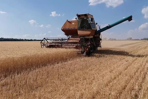 Kyrgyzstan’s malt imports fall 55.4% as supply costs rise