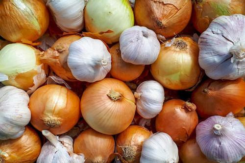 Kyrgyzstan’s onion and garlic exports fall 59.8% in January-May 2026