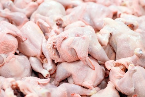 Kyrgyzstan’s poultry meat imports rise 1.8% to 35,900 tonnes in January-May 2026