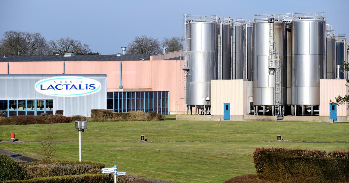 Lactalis to acquire Agropur specialty cheese business and two Quebec plants