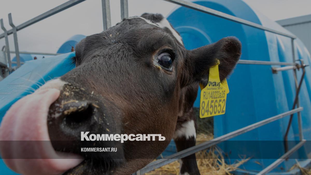 Logika Moloka overtakes PepsiCo assets to lead Russia’s dairy processors by revenue