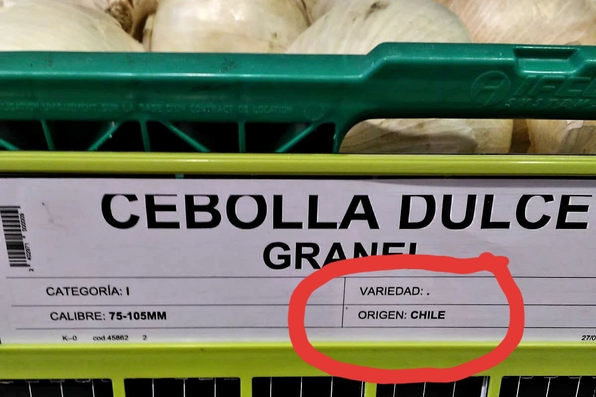 Les importations d’oignons à bas prix poussent des producteurs espagnols à détruire leurs récoltes