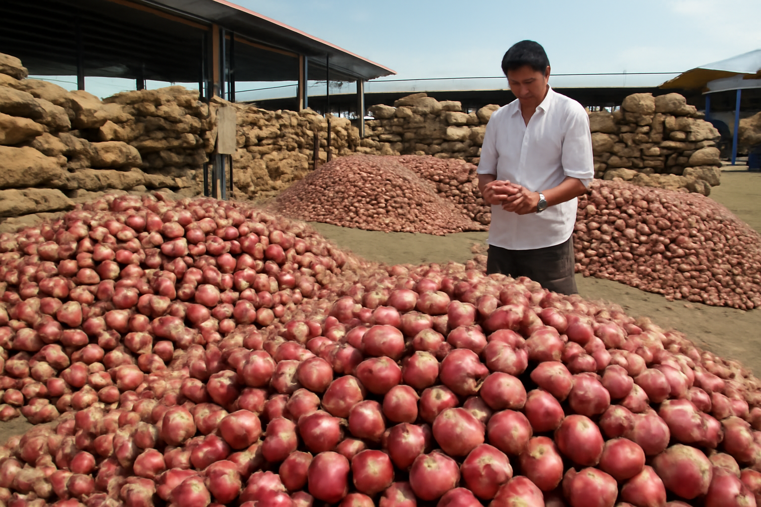 Maharashtra Onion Prices Fall Below Production Costs in Many Mandis