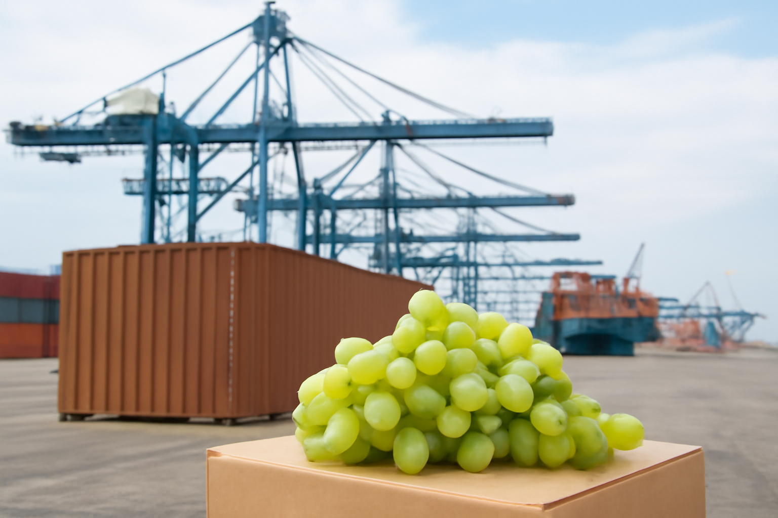 Murcia table grape exports rise 19% to record 292 million in 2025