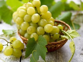 Namibia gains access to China’s table grape market under phytosanitary protocol