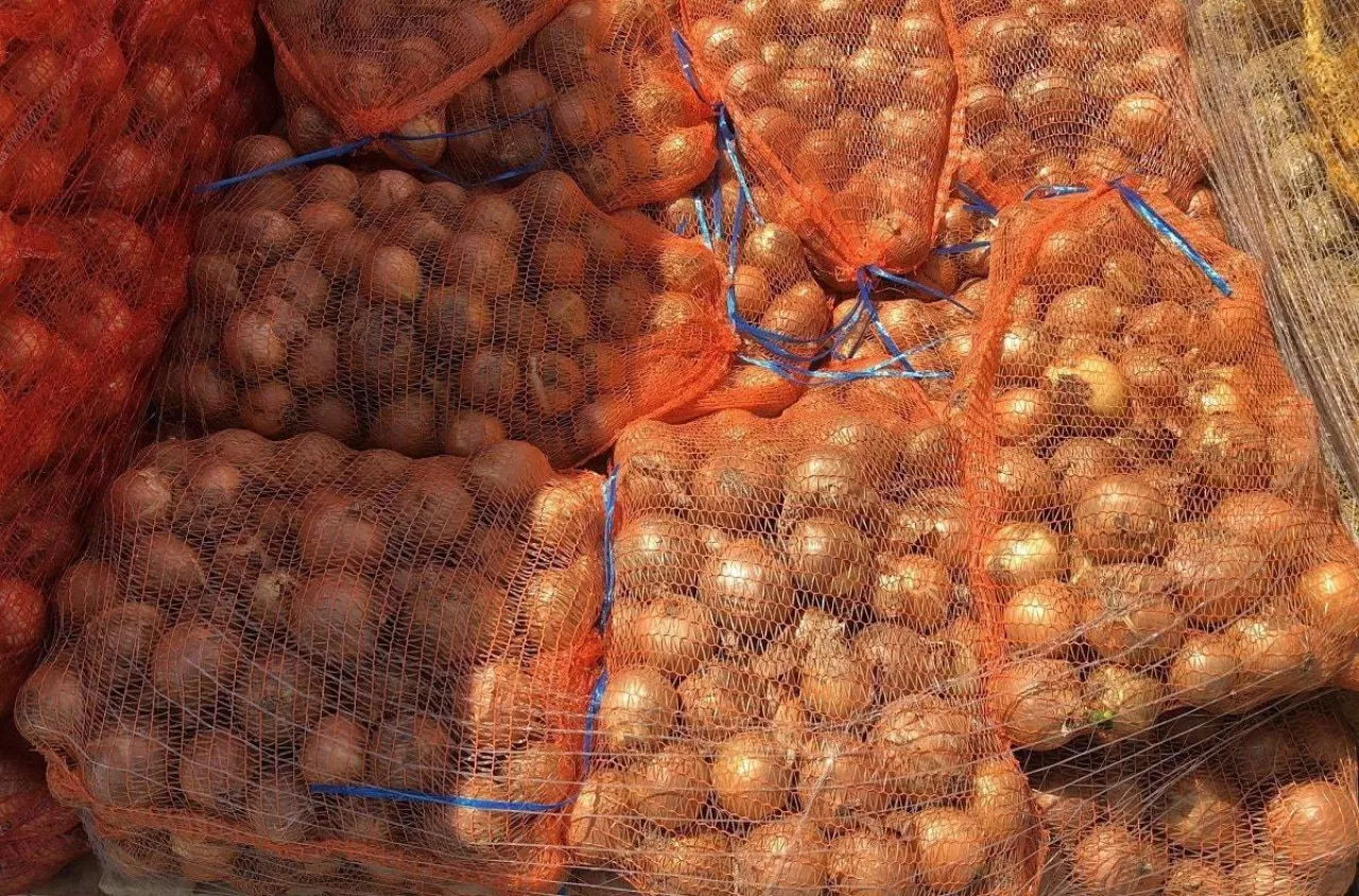 Netherlands supplies more than 67% of Poland’s onion imports in early 2026