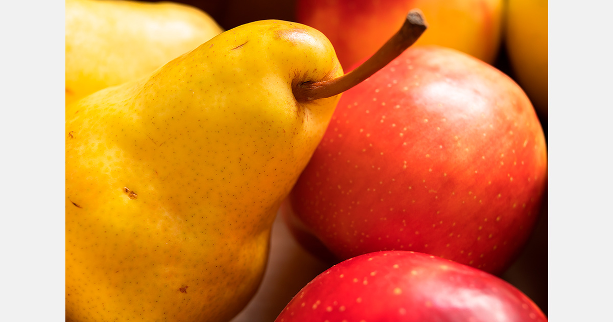 Netherlands overtakes France by value in Spanish apple exports as Italy leads in pears