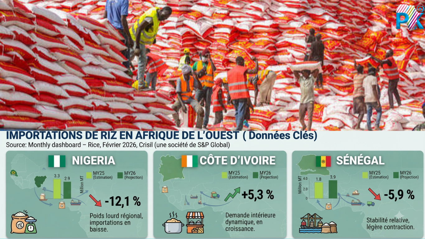 Nigeria, Ivory Coast and Senegal drive West Africa’s rice import demand