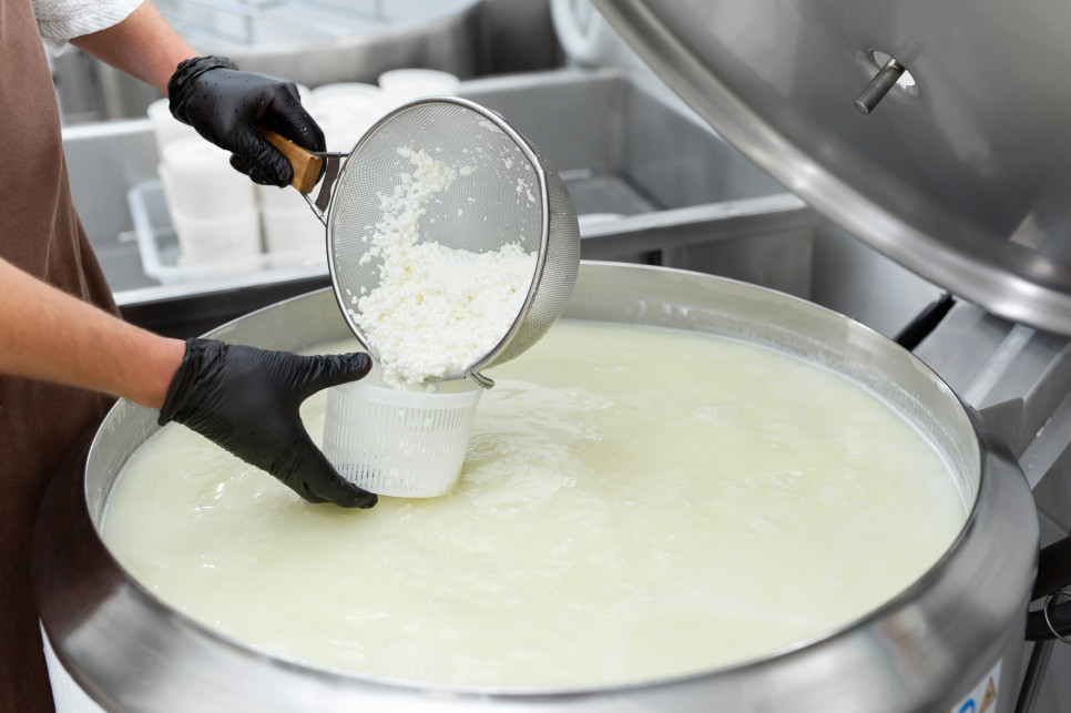OSM Prudnik bankruptcy deepens pressure on Poland’s smaller dairy cooperatives