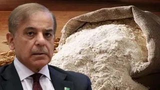 Karachi Flour Prices Hit 170 Rupees per Kg, Defying Government Caps