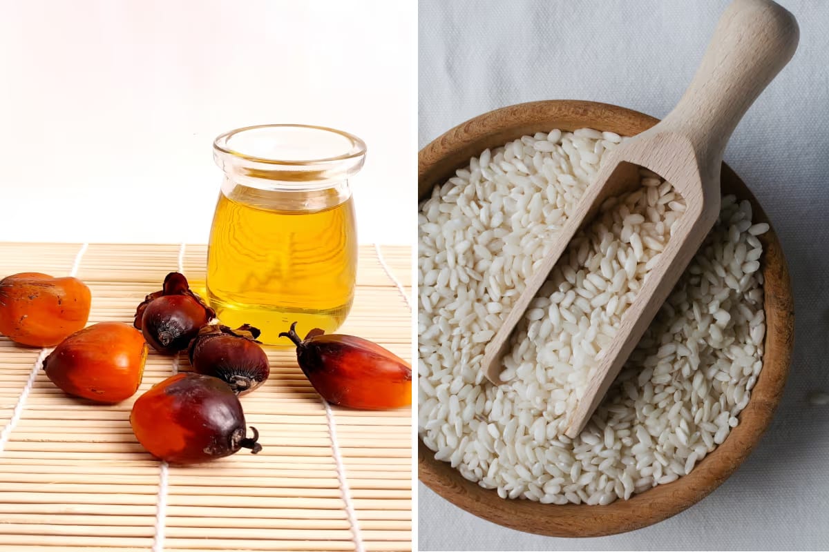 Estoques da Malásia estabilizam óleo de palma e Itália muda plantio de arroz