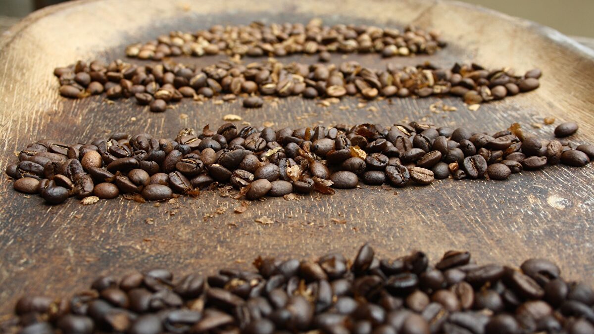 La cosecha de café geisha de Panamá cae antes de la subasta de septiembre