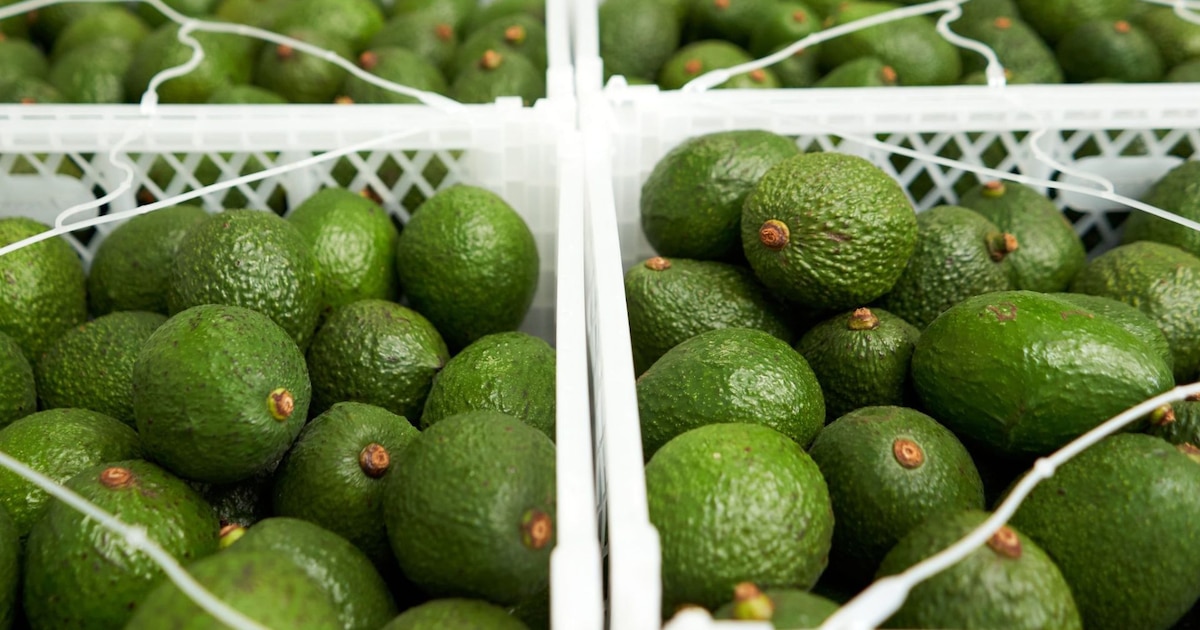 Peru’s non-traditional exports to Spain reach record $459.5 million