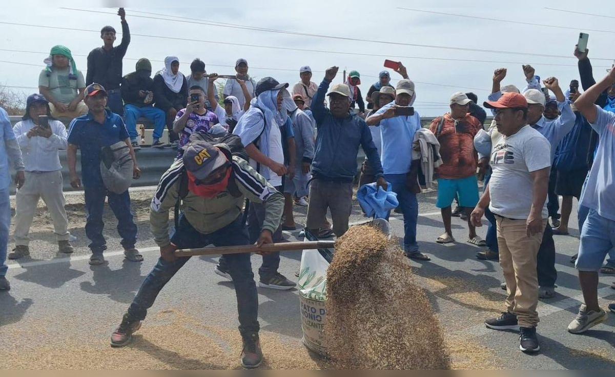 Peru's rice growers threaten national strike from 23 July over import-driven price crash